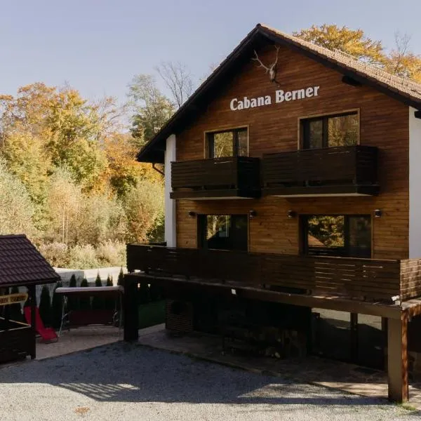 CABANA BERNER stațiunea Mogoșa，位于Budeşti的酒店