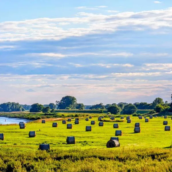 FeWo Elbtalaue，位于Lanz的酒店