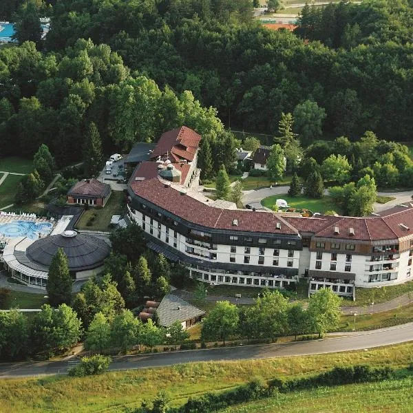 Hotel Toplice - Terme Krka，位于斯玛杰克托莱塞的酒店