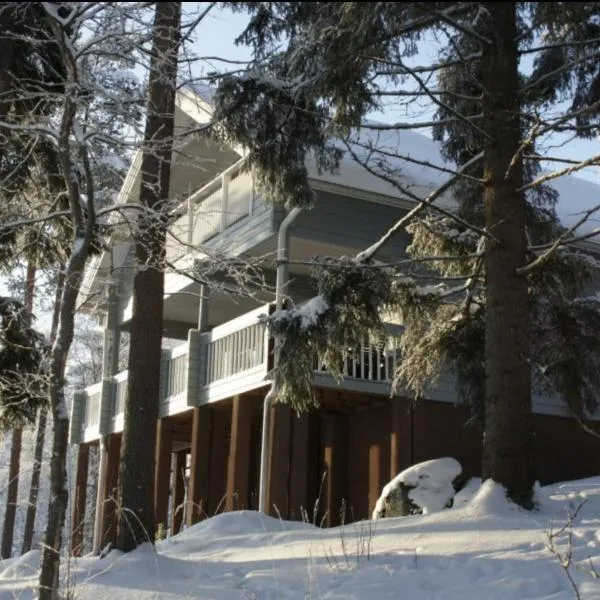 Tahkon Riihiranta - 4 bedroom villa with lake view - Tilava mökki rantanäkymin，位于Tiirinlahti的酒店