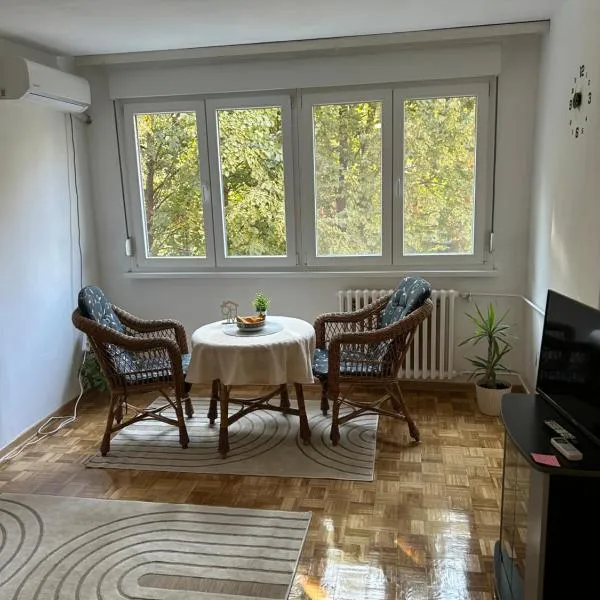 Apartman Tejsi，位于Tošin Bunar的酒店