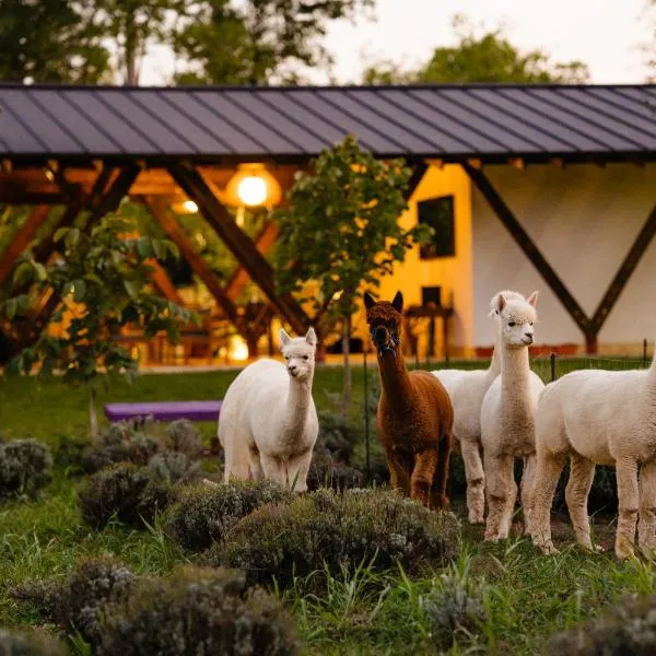 The Tribe Alpaca Retreat，位于Brăneşti的酒店