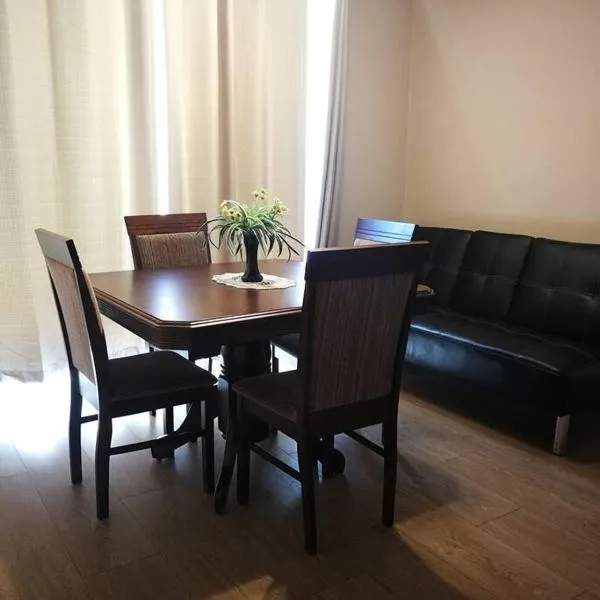 Departamento completo, centrico y estacionamiento，位于特木科的酒店