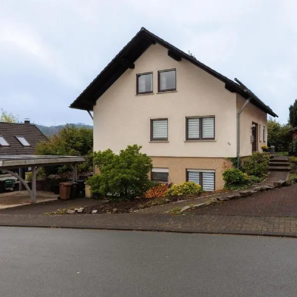Ferienwohnung Ankel，位于希尔兴巴赫的酒店