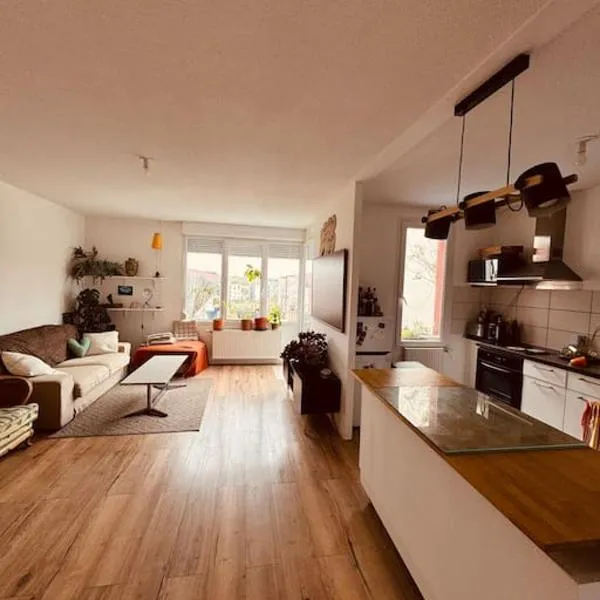 Bel appartement proche Mulhouse - grand balcon 9m2，位于Pfastatt的酒店
