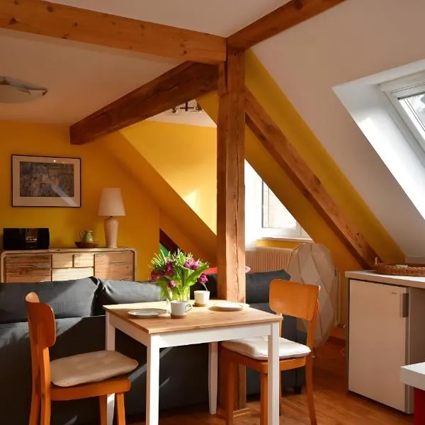 Apartment Alter Fritz，位于波茨坦的酒店