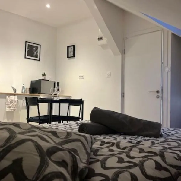 Cosy Rent Strasbourg Studio 1Tv - Wifi proche gare，位于伊尔基希-格拉芬斯塔登的酒店