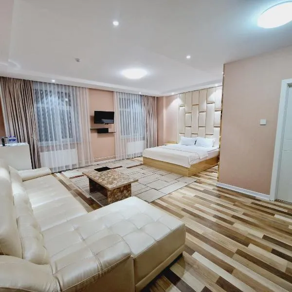 Copper hotel Erdenet city Mongolia，位于Erdenet的酒店