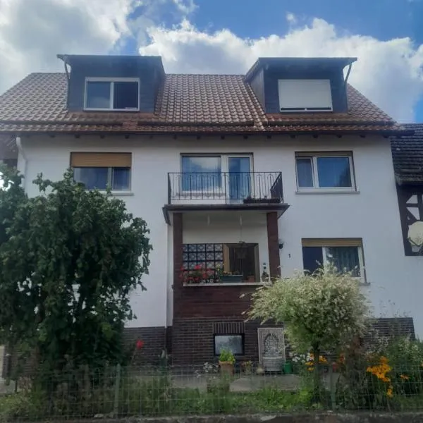 ZiniMiri，位于Freiensteinau的酒店