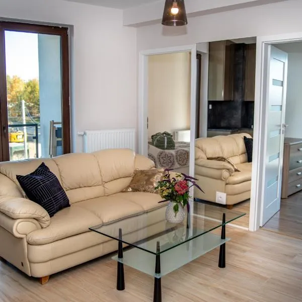 Apartament Poleska，位于琴斯托霍瓦的酒店