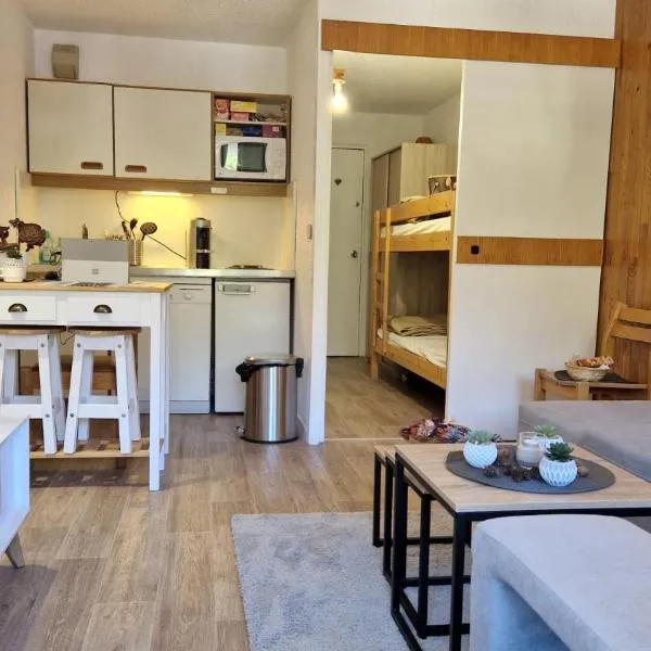 Studio central proche des pistes，位于伊索拉的酒店