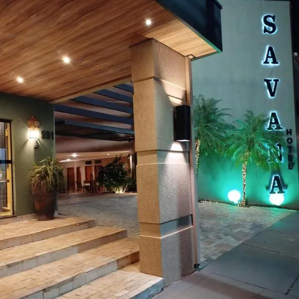 Savana Park Hotel，位于Andradina的酒店