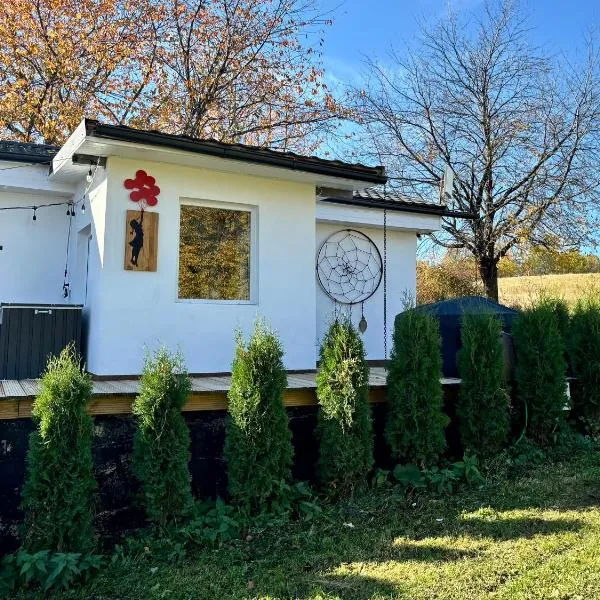 Cozy Dreamcatcher - Private, Jacuzzi and Nature Apuseni Mountains,位于Tomnatic的酒店
