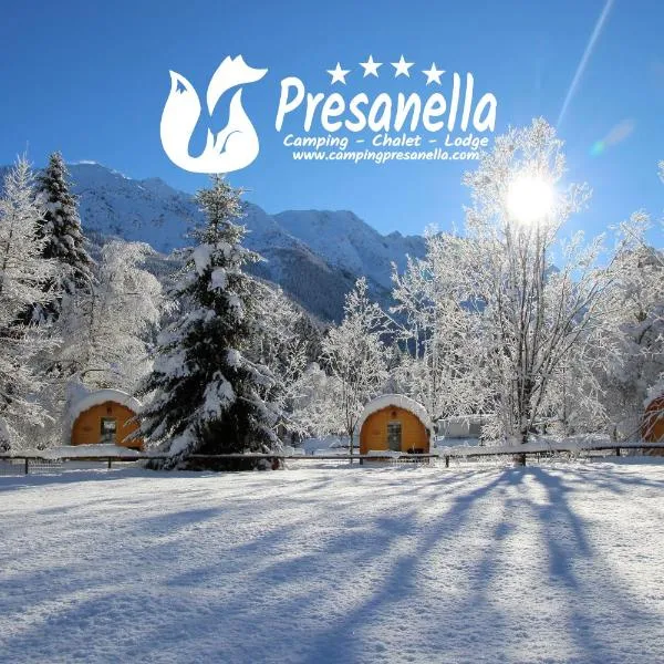 Presanella Mountain Lodge，位于平佐洛的酒店