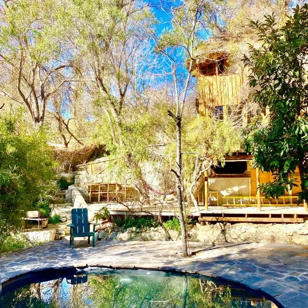 La Casa entre los Árboles en el Valle de Elqui Montegrande，位于派瓦诺的酒店