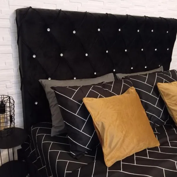 Black Diamond Lux - deluxe riverside apartment，位于Senta的酒店