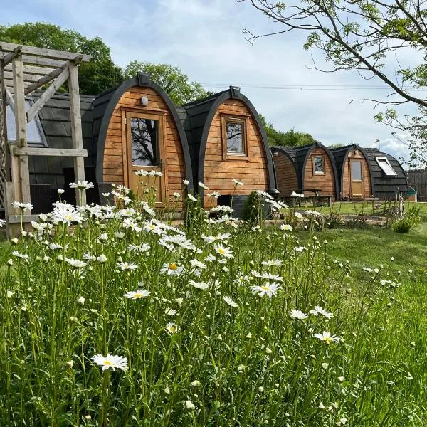 Hedgehog Glamping Pod School House Farm，位于Leighton的酒店