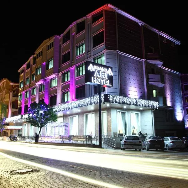 Afyon Grand Ari Hotel，位于萨迪科贝的酒店