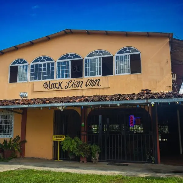 Black Lion Inn，位于La Iguana的酒店