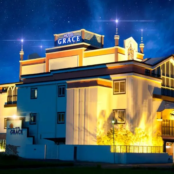 岐阜ホテルグレイス，位于岐阜的酒店