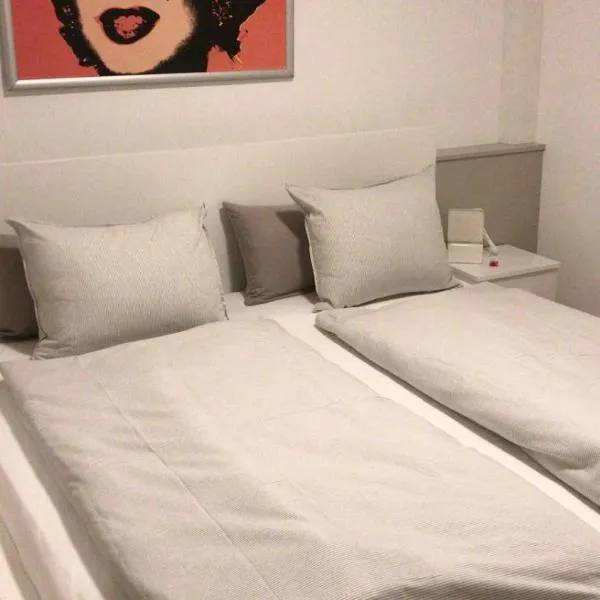 Kleine feine Wohnung Gmunden City，位于格蒙登的酒店