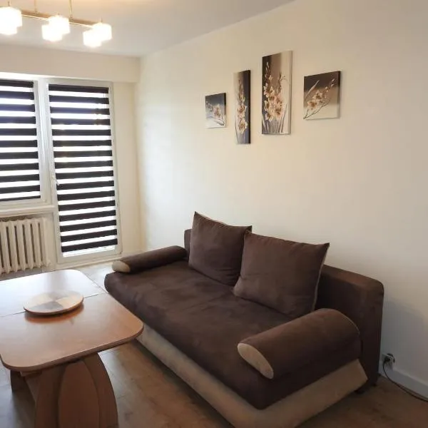 Apartament Spokojna，位于Wąbrzeźno的酒店