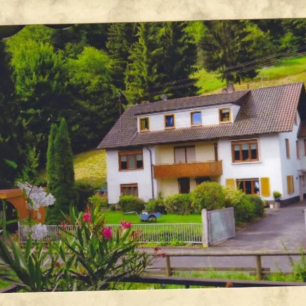 Komfortable Apartments Steger，位于Frammersbach的酒店