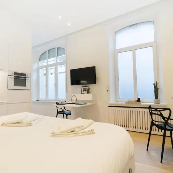 Studio Fischer à la Pétrusse 302，位于卢森堡的酒店