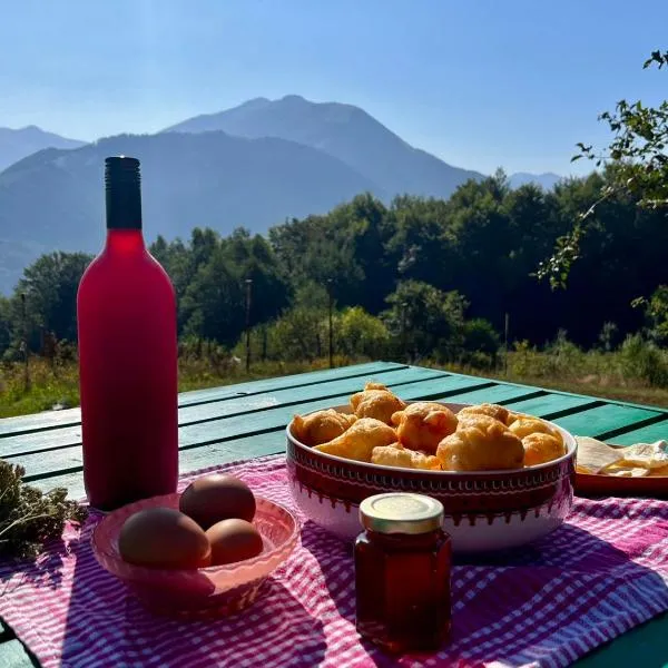 Kolibe Ćorić，位于莫伊科瓦茨的酒店