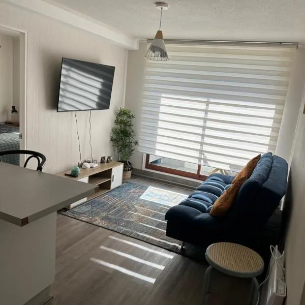 Depto Nuevo Chillan Centro 2D-2B-E privado，位于奇廉的酒店
