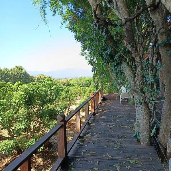 Napahong forest camp，位于Ban Pa Ha的酒店