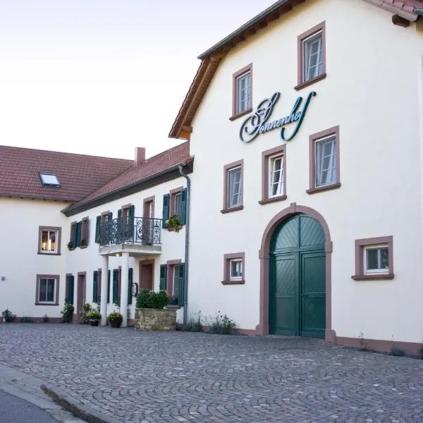 索奈霍夫酒店，位于梅特拉赫的酒店
