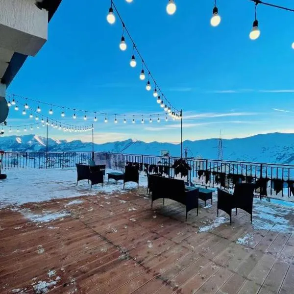 winter house GUDAURI，位于古多里的酒店