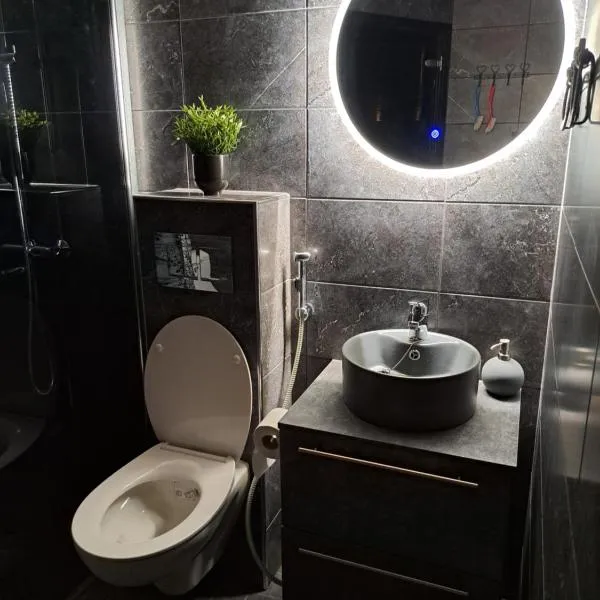 Saunallinen yksiö，位于皮耶克赛迈基的酒店