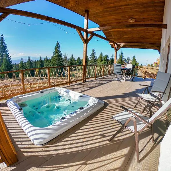 Cozy Living，位于Dealu Negru的酒店