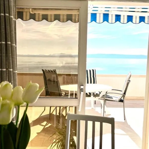 Villa Albatros，位于塞尔察的酒店