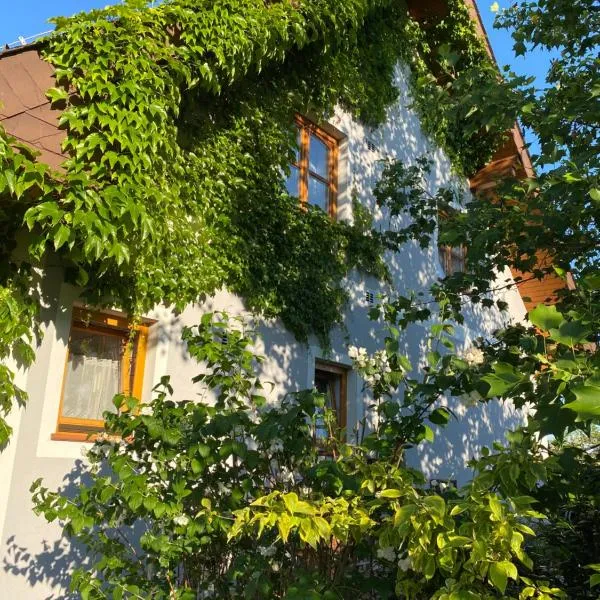 Ferienwohnung in der Thermenregion，位于Ilz的酒店