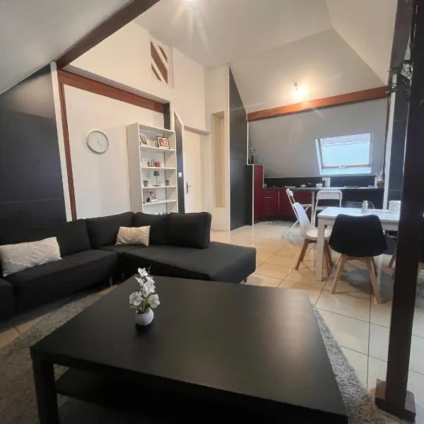 Appartement 70m2 Illkirch centre，位于伊尔基希-格拉芬斯塔登的酒店