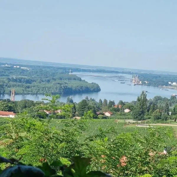 View Point House，位于斯梅代雷沃的酒店
