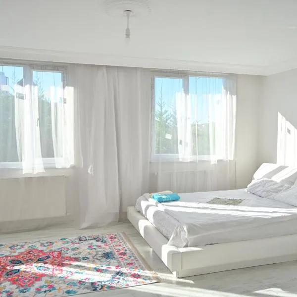 Ahmet Teacher's villa is 6 minutes from the airport，位于Arnavutköy的酒店