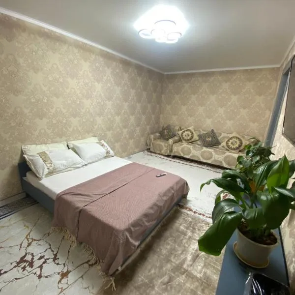 Апартамент Плаза 1 ком，位于奇姆肯特的酒店