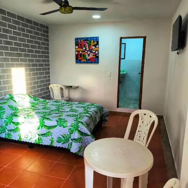 Apartaestudios la terraza 1，位于辛塞莱霍的酒店