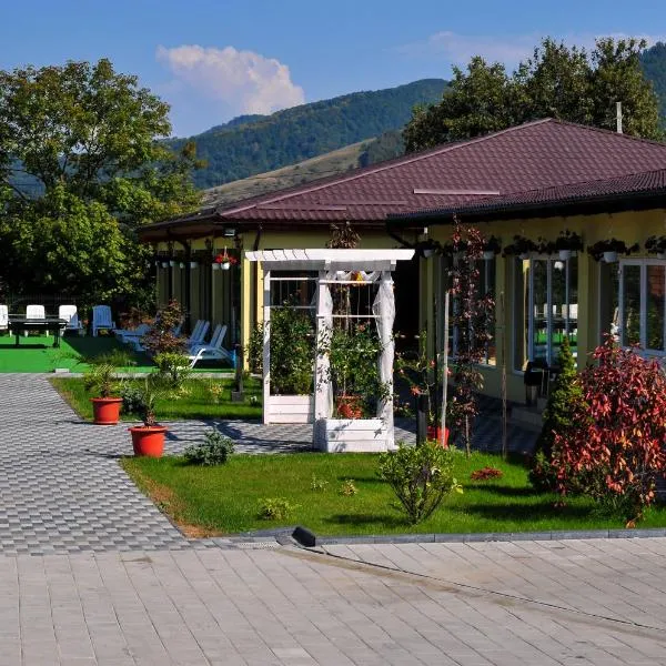 Pensiunea Vadu Izei - Cazare, Restaurant, Piscină, Sală de Evenimente，位于瓦杜伊泽的酒店