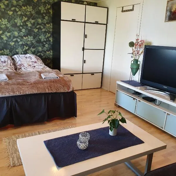 Stort privat rom，位于Hauknes的酒店