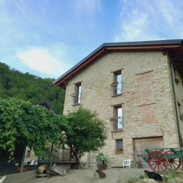 Agriturismo Il Tesoro di MiRo，位于Cartosio的酒店