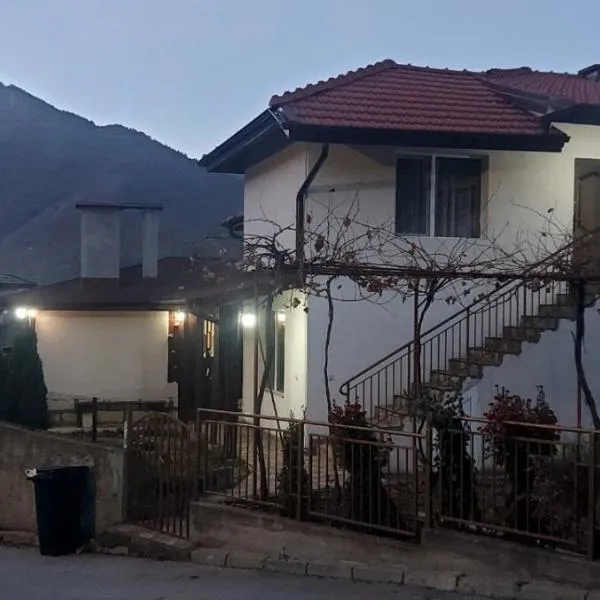 При баджанака，位于代温的酒店