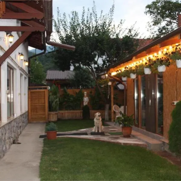 Casa Selera Rasnov，位于莱斯诺夫的酒店