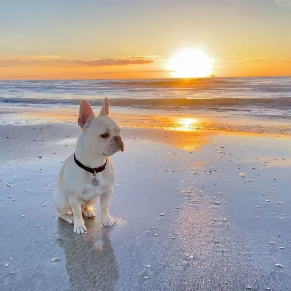 Pet & Family Friendly on the Bay，位于Bolivar Peninsula的酒店