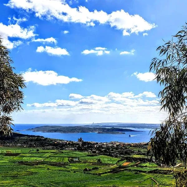 Twenty9th，位于纳杜尔的酒店