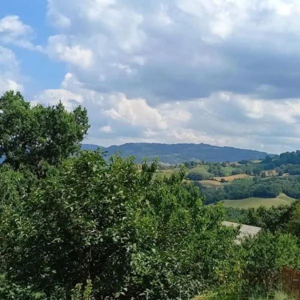 Azienda agrituristica La Borgaccia，位于Baiso的酒店